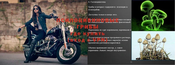 шишки Алексин