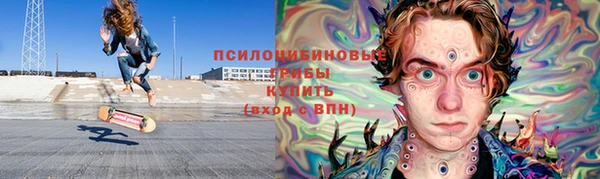 шишки Алексин