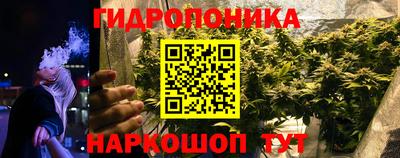 дживик Тара