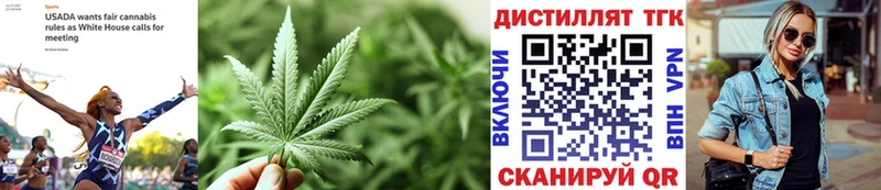 сайты даркнета как зайти  Черемхово  Дистиллят ТГК THC oil  где найти наркотики 