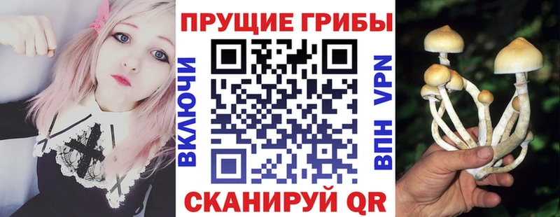 цена наркотик МЕГА ссылка Галлюциногенные грибы Psilocybine cubensis Черемхово