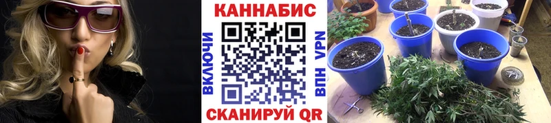 Шишки марихуана Bruce Banner  Черемхово 